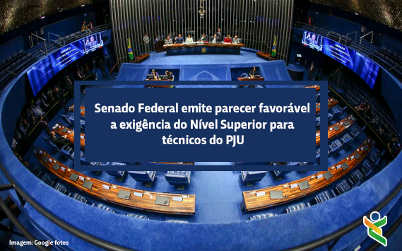 14 senado